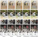 Analysis of different losses for deep learning image colorization